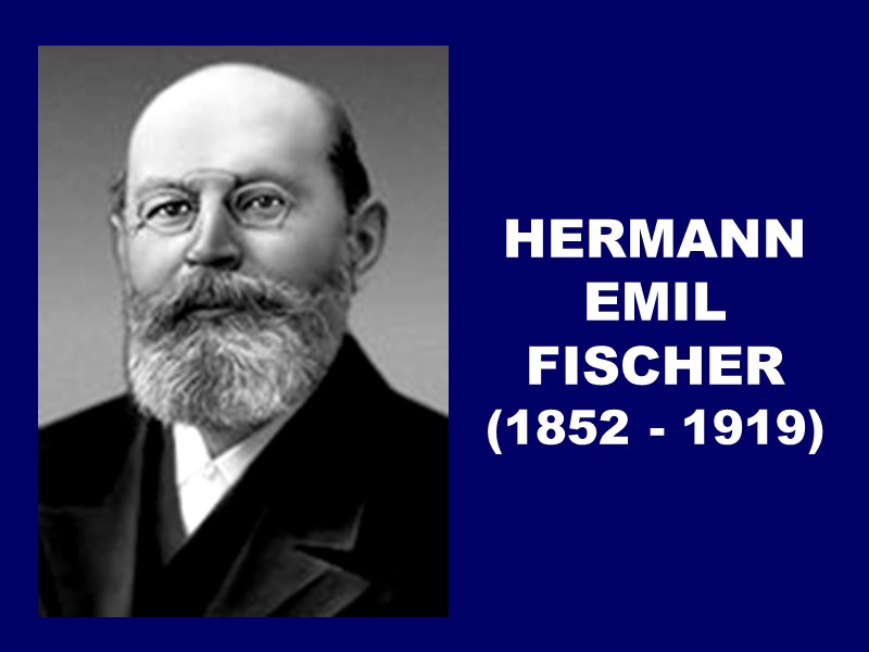 HERMANN  EMIL  FISCHER  (1852 - 1919)